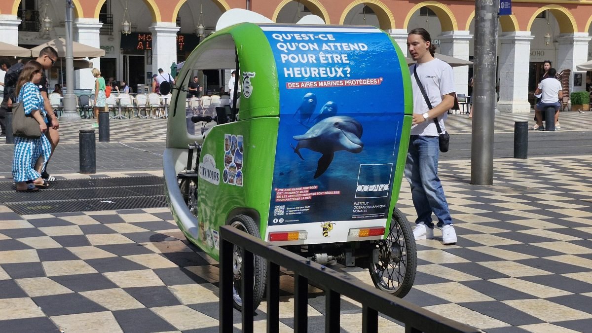 massena velo