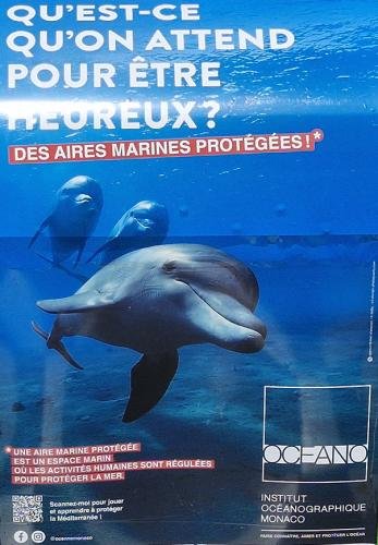 affiche IOM